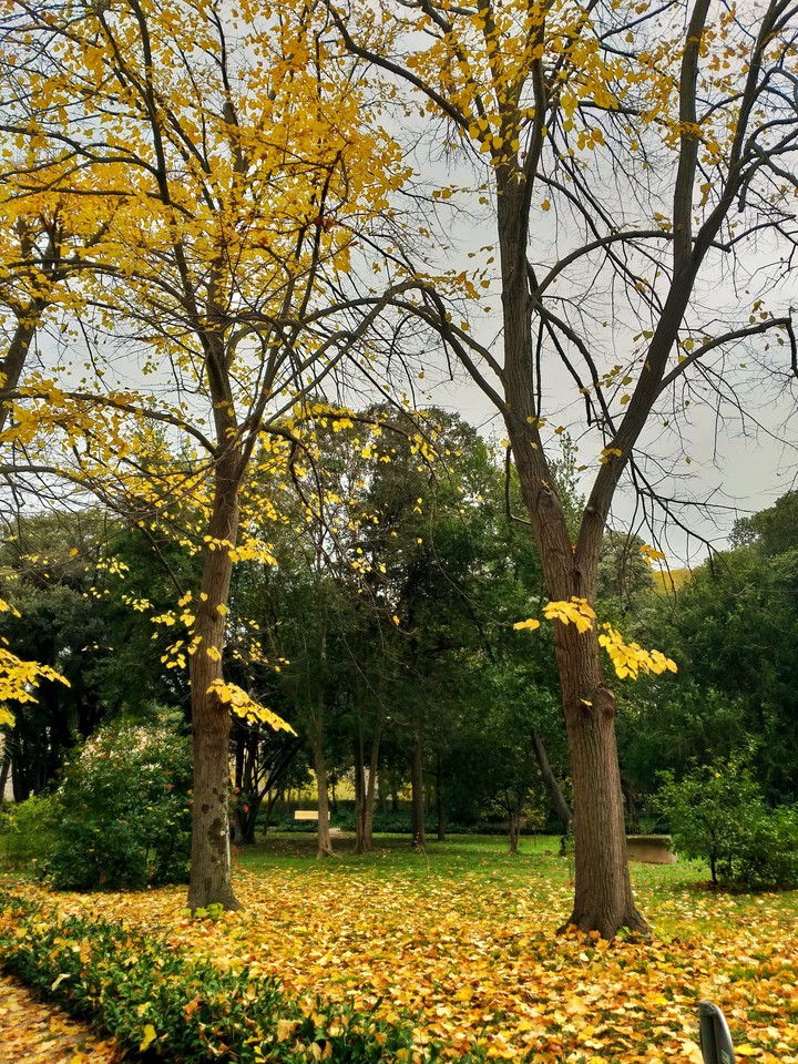 Autumn