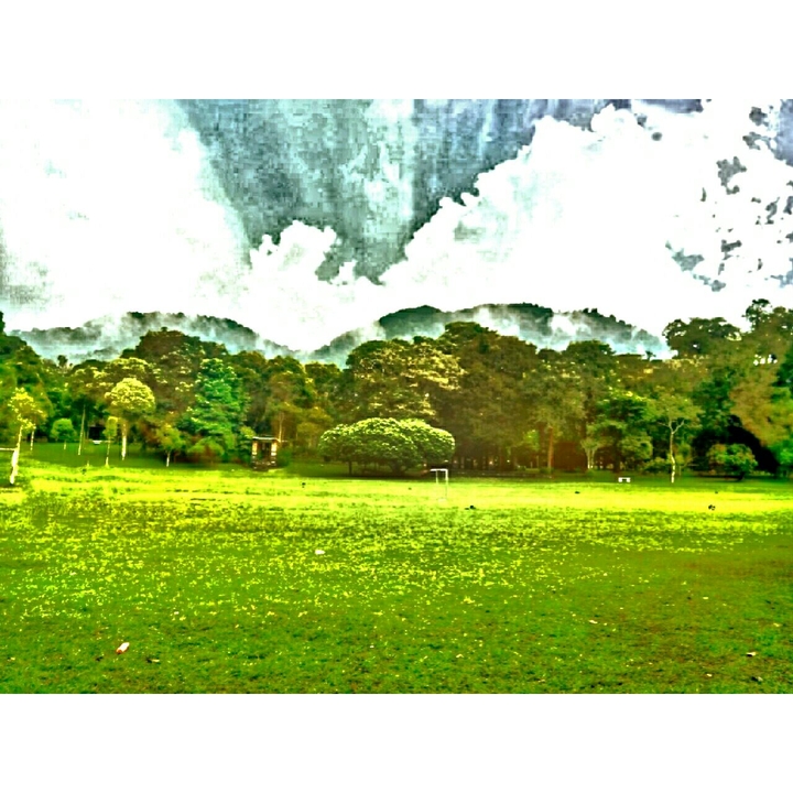 green and white