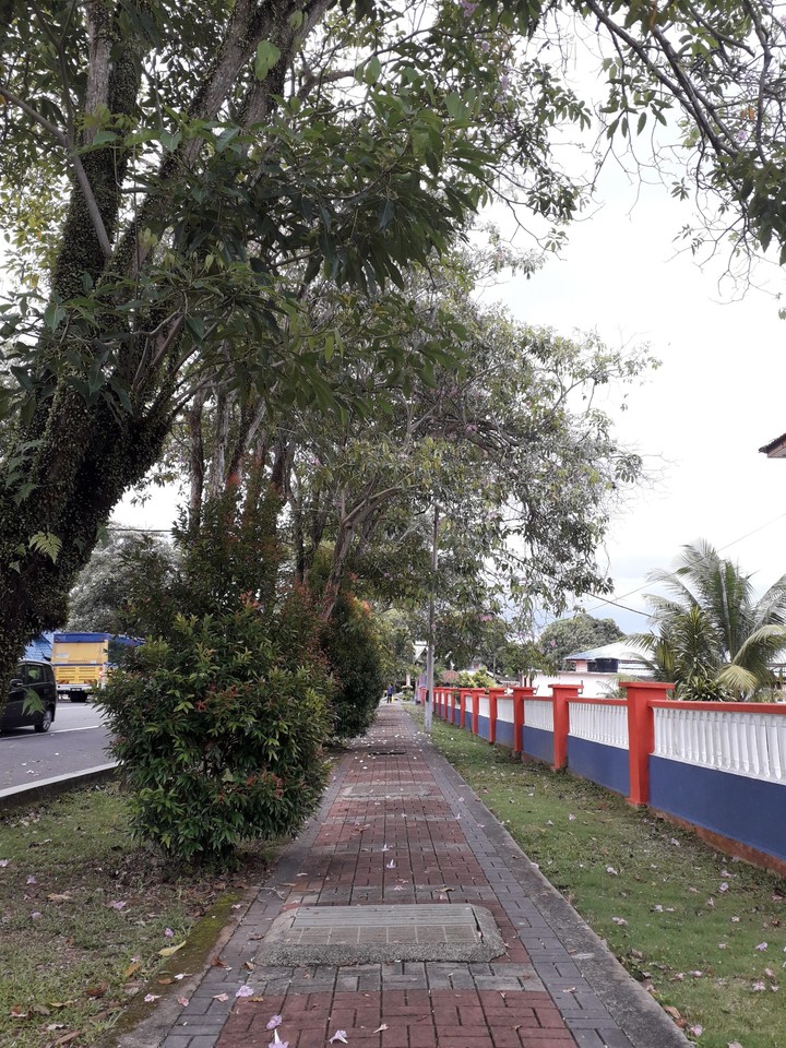 street