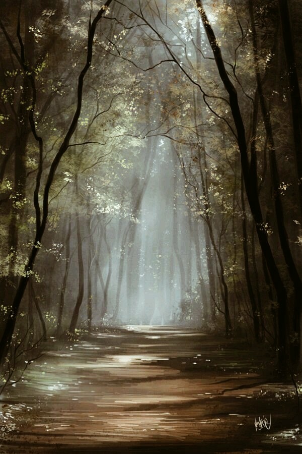 magical forest