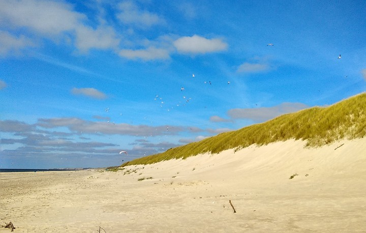 Dünne