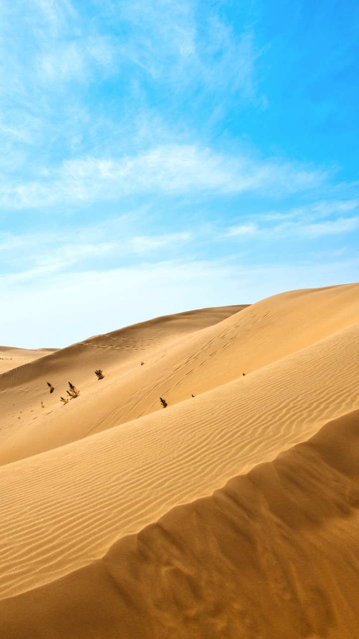 the desert