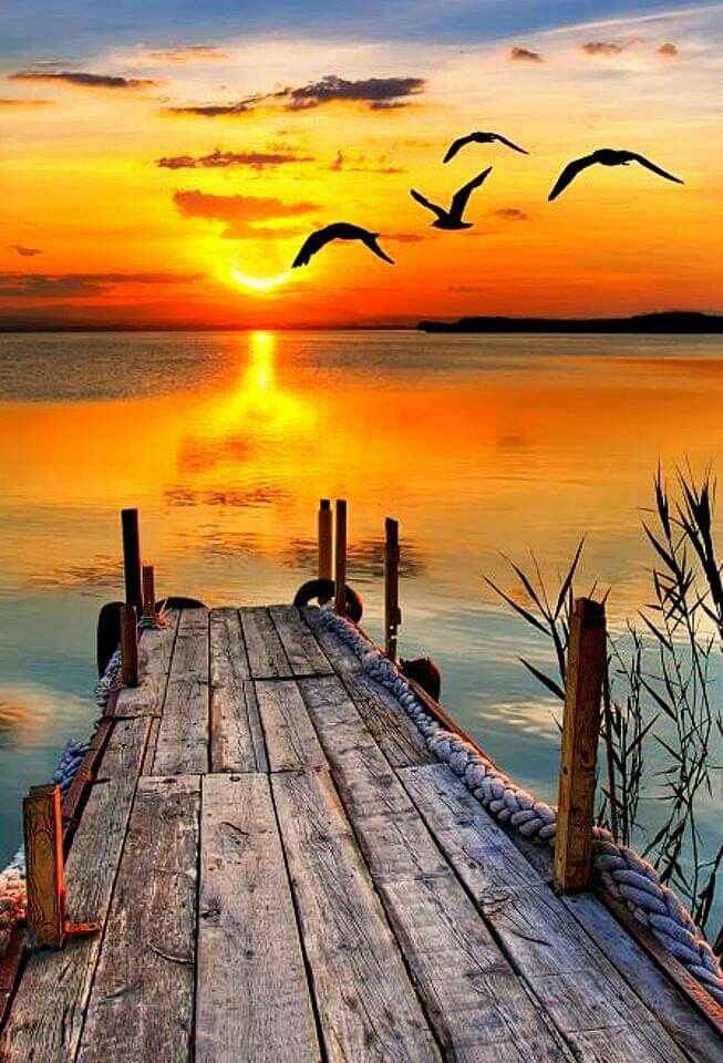 lovely sunset 