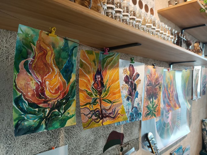 coffee flowers