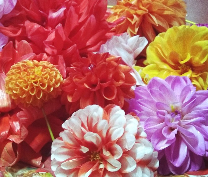The earth laughs in flowers!!