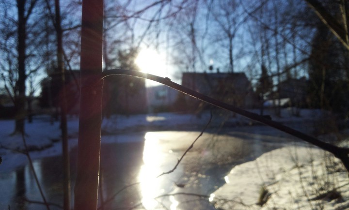 Winter
