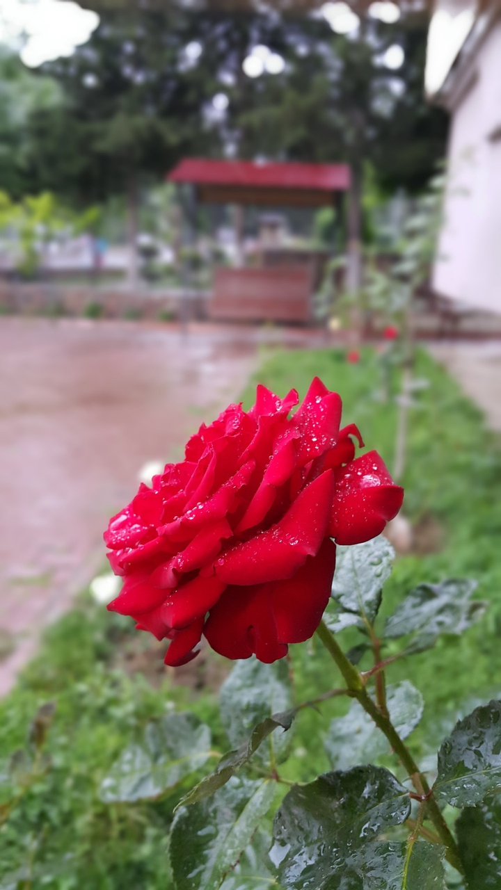 realme shots x7