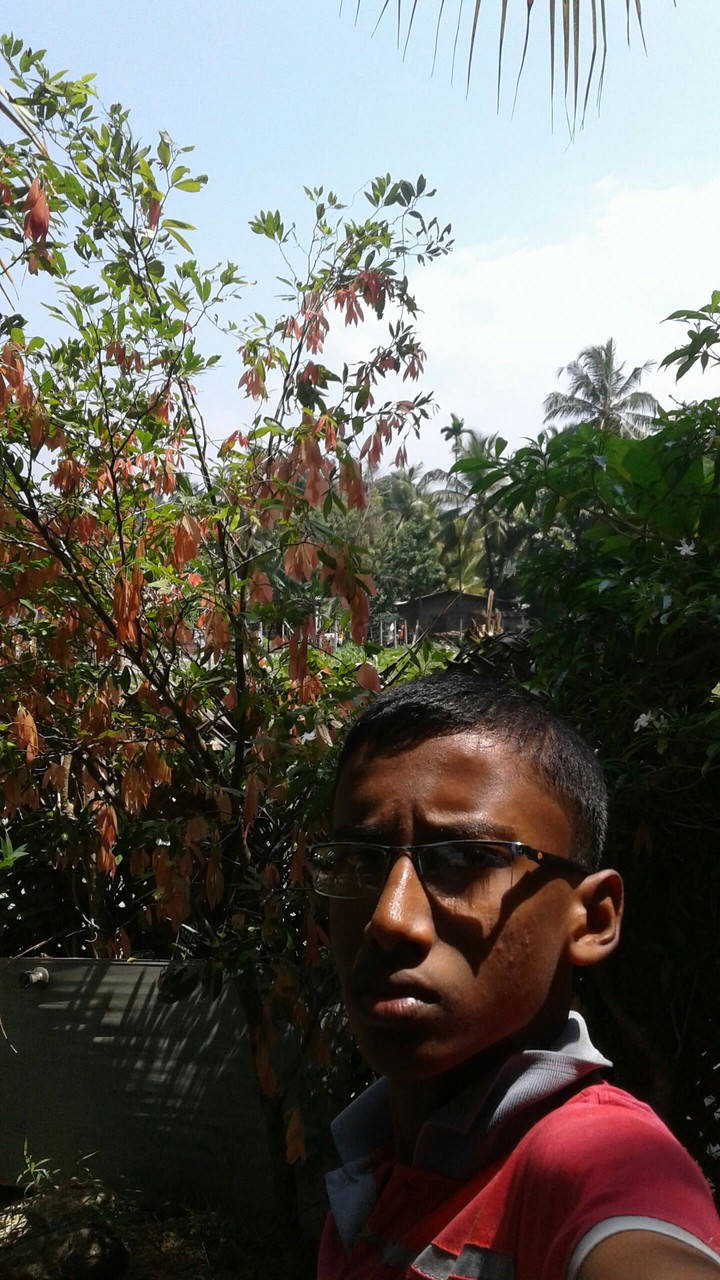 srilanka