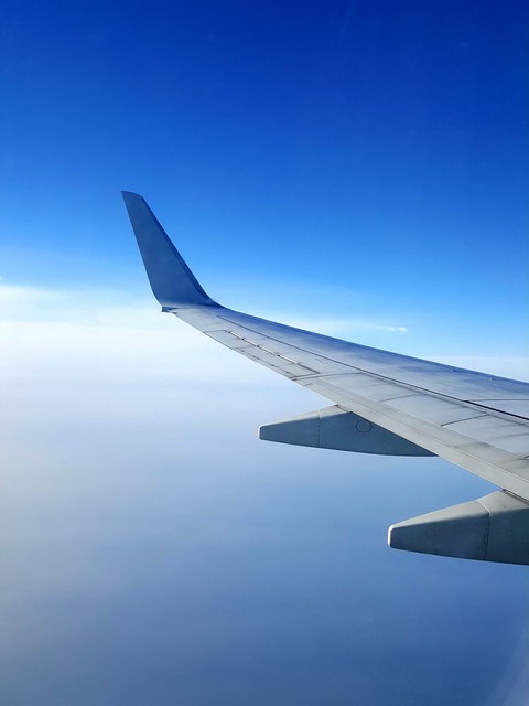 Wing