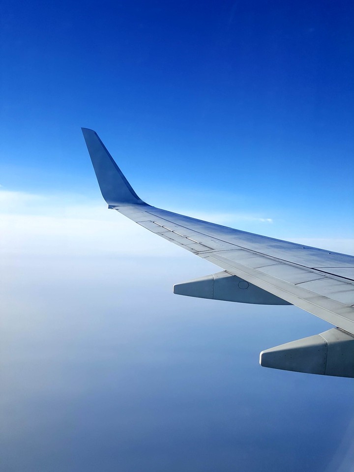 Wing