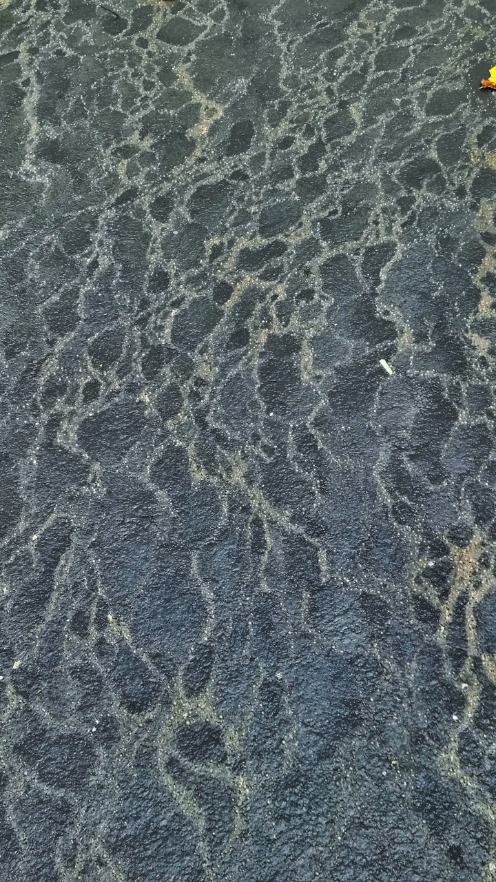 Dirty river