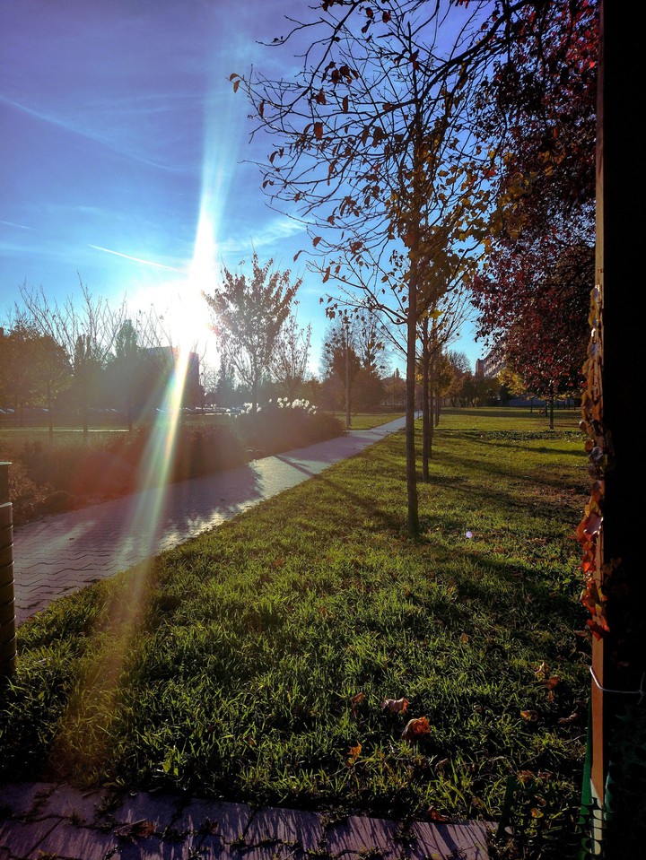 Beautifull Day