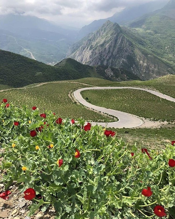 Iran❤❤❤❤