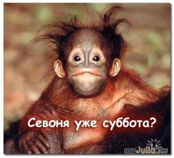 животные