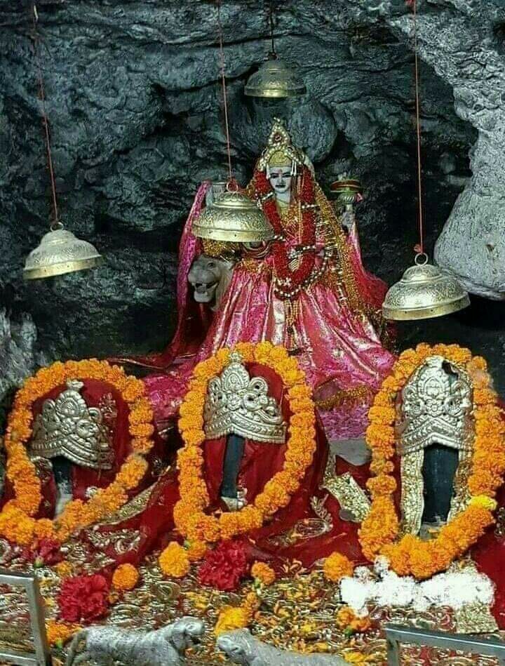 all member is best