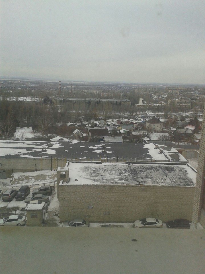 утро,снег