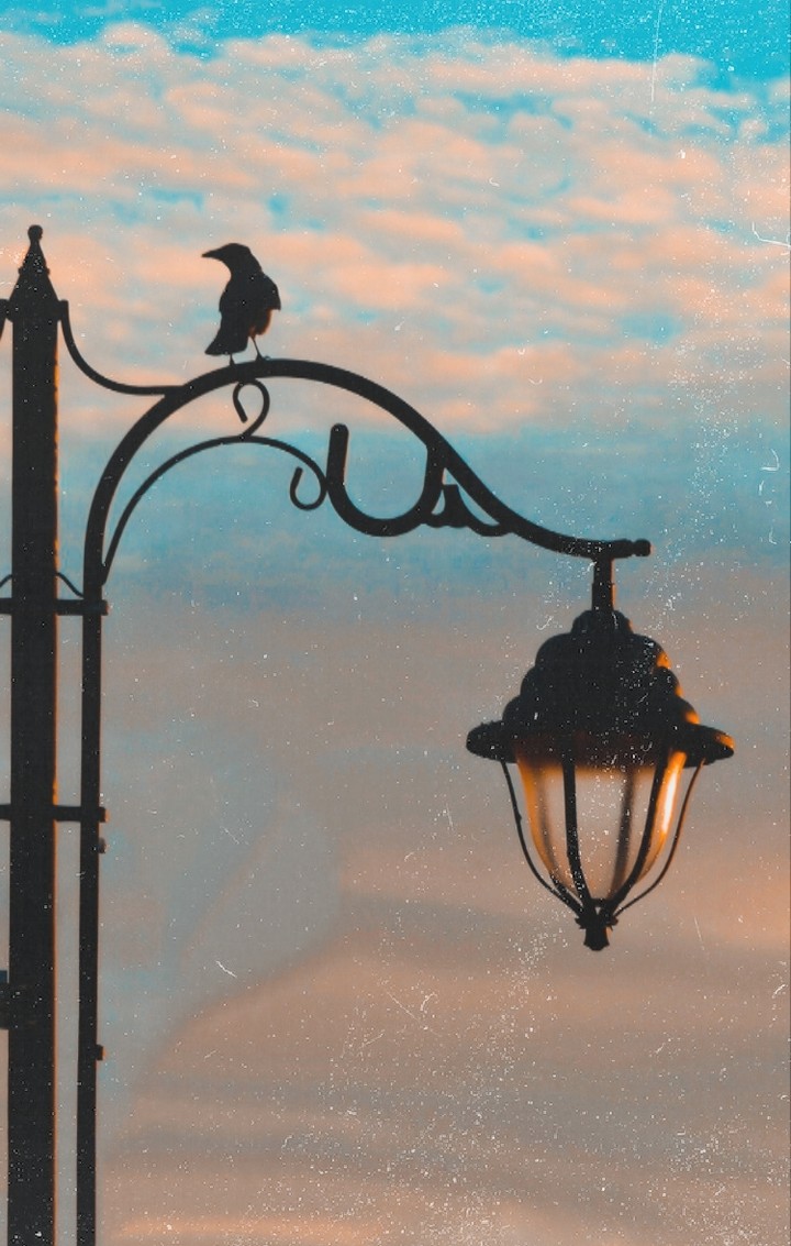 Peaceful moment