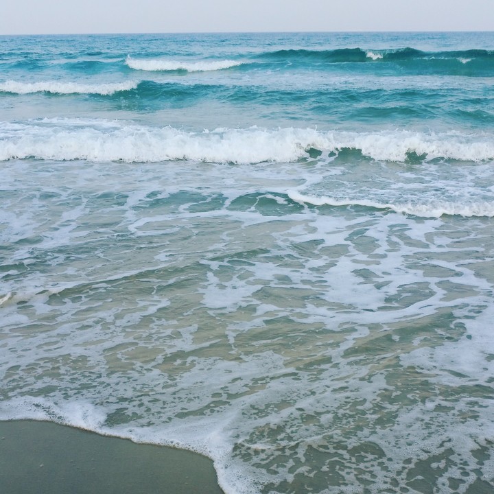 sea