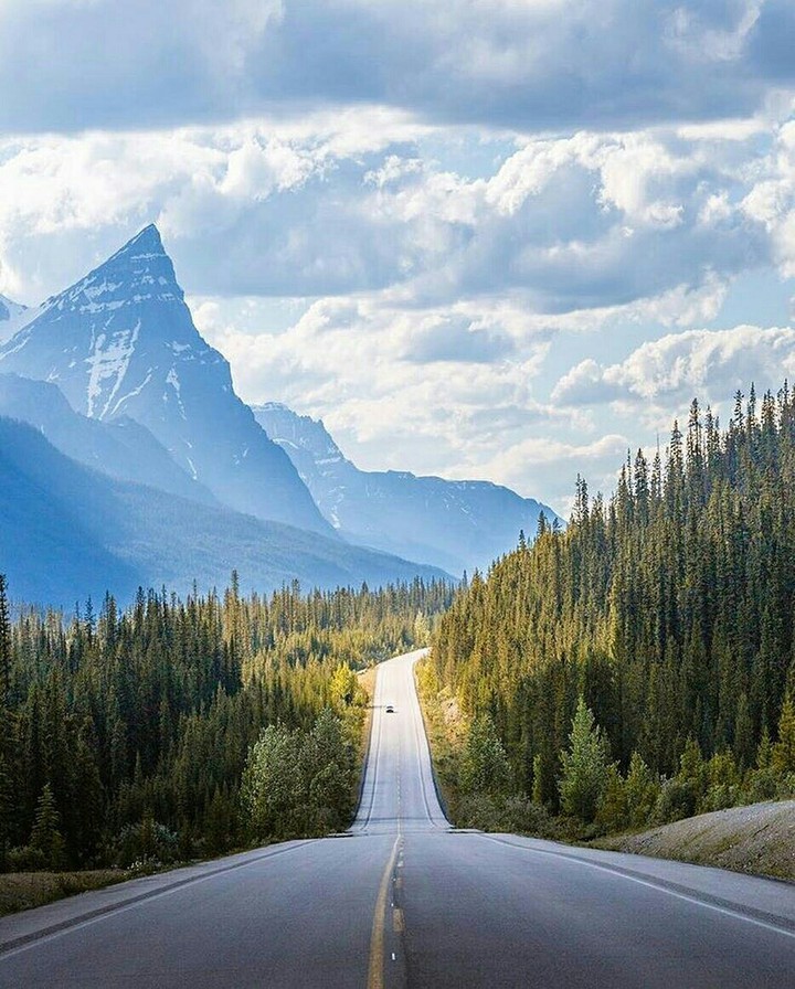 Canadians Rockies