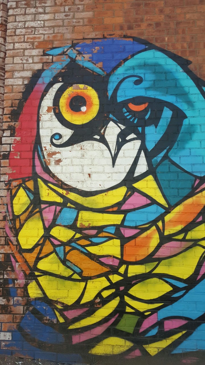 BrooklynOwl
