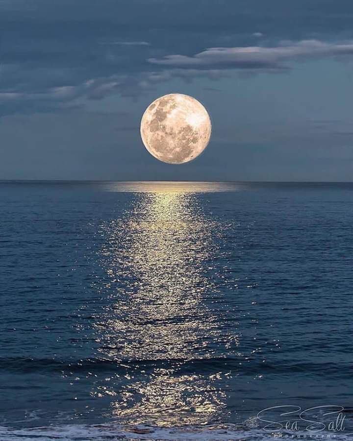 Selene