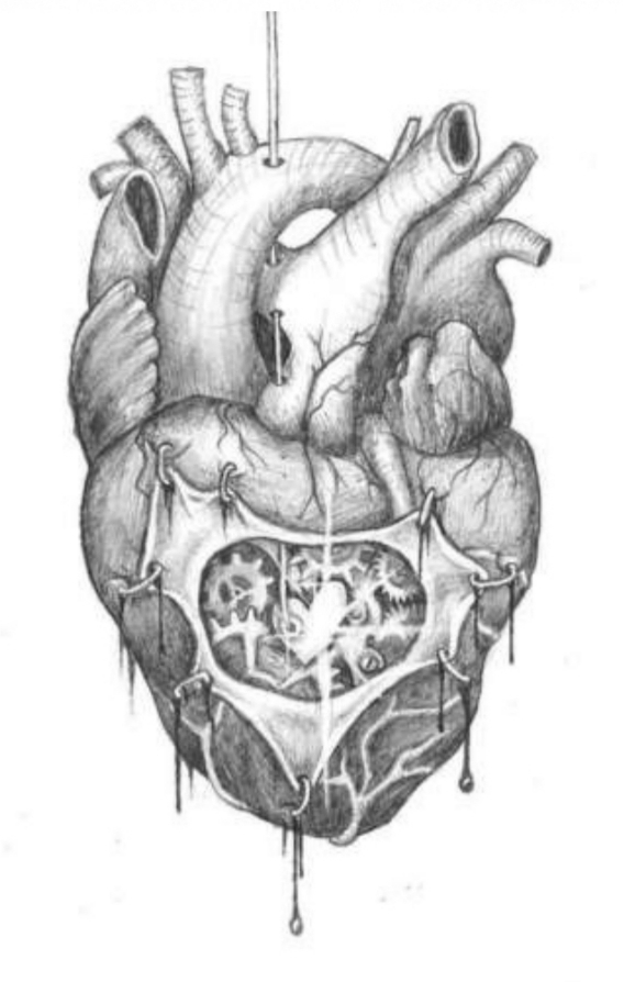 heart
