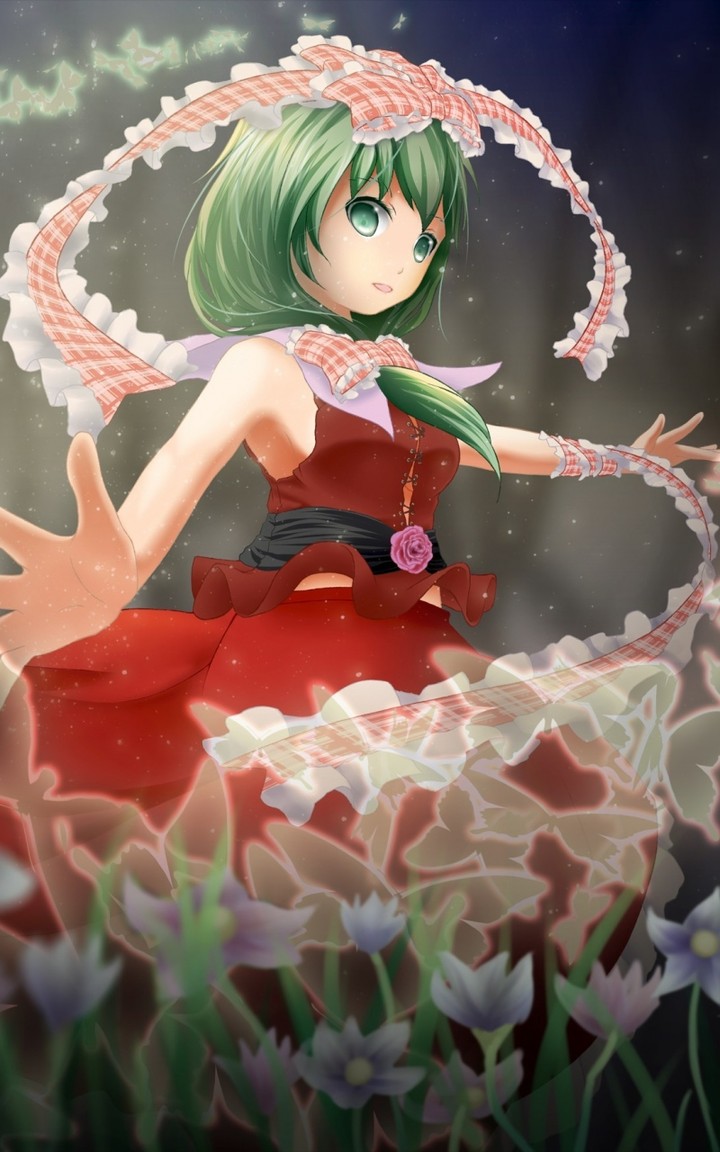 touhou, kagiyama hina