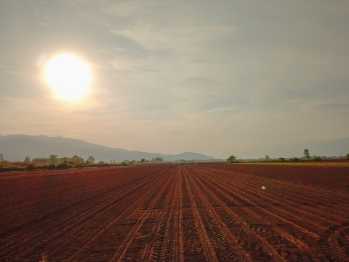 Field 2