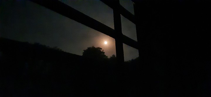 Full moon