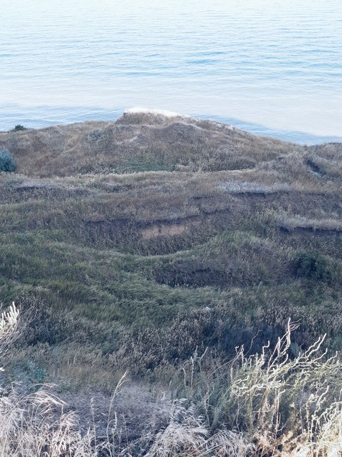 Grass&ocean