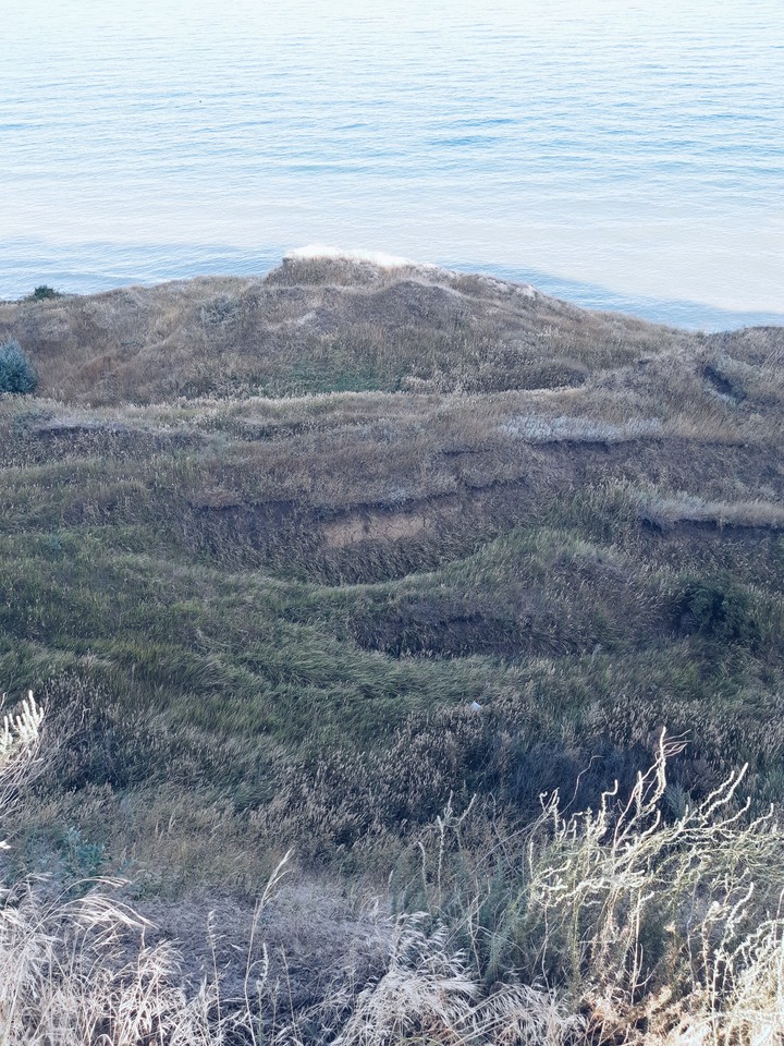 Grass&ocean