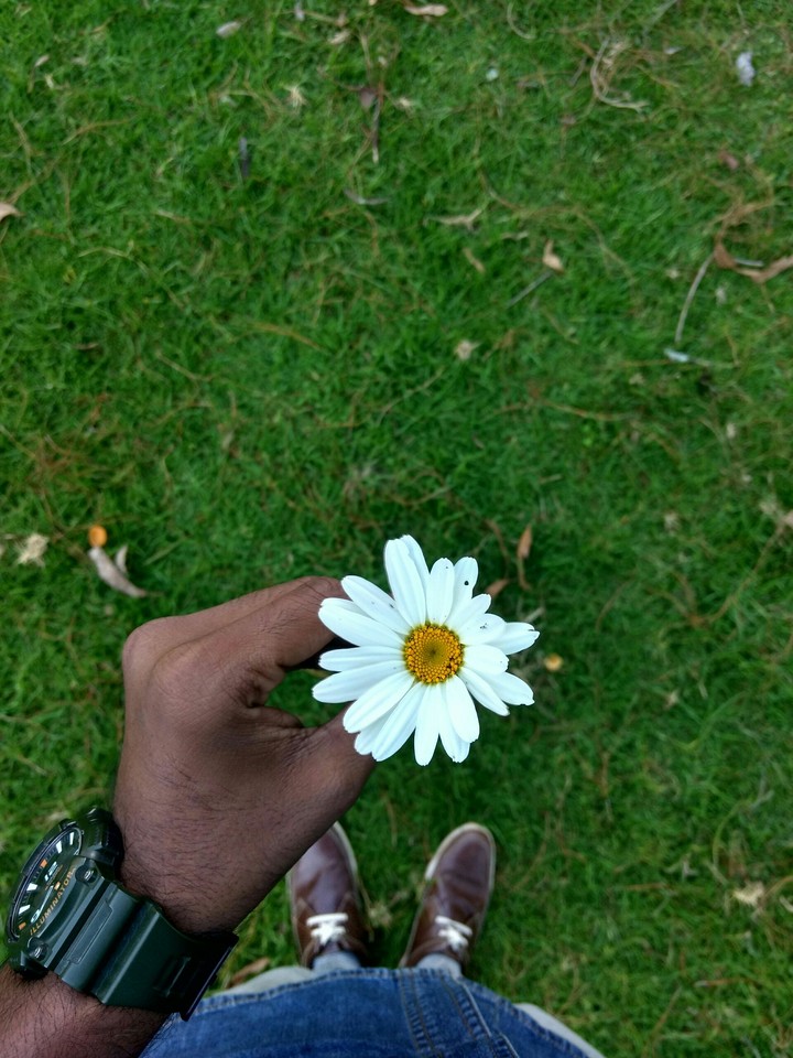 flower love