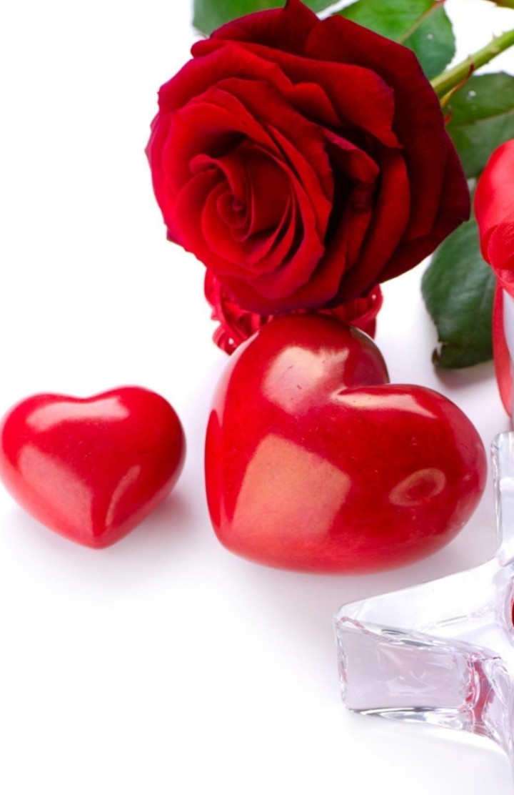 ~ Red rose