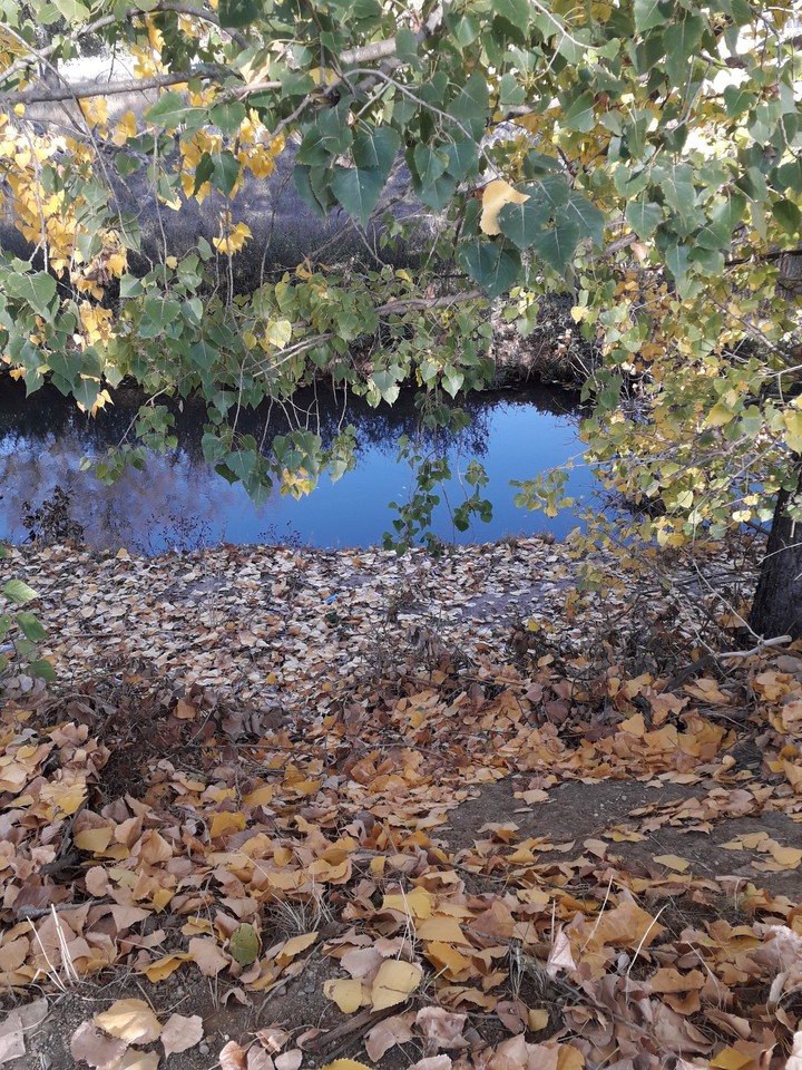 осень