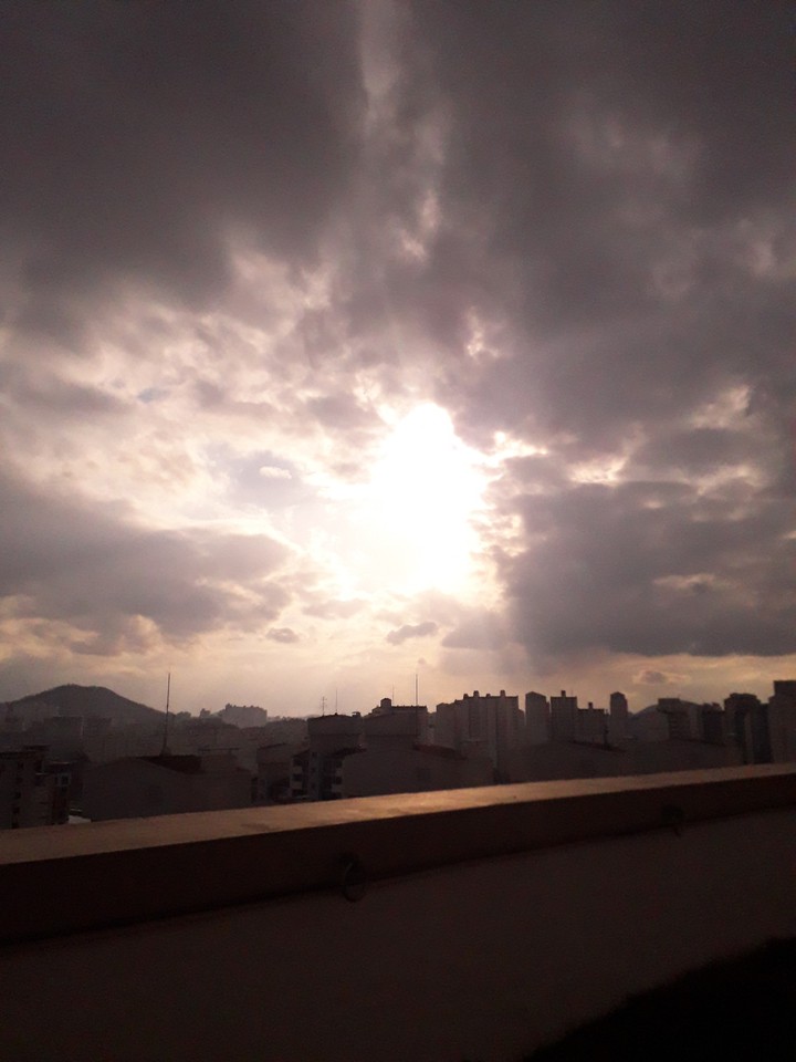sunlight