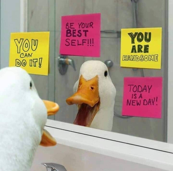 Self Motivation