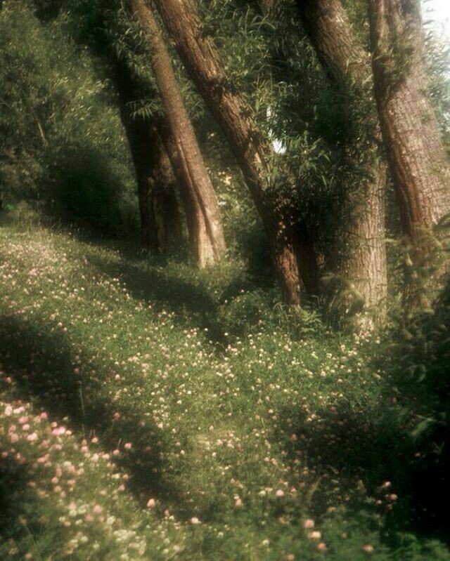 cottagecore aesthetic