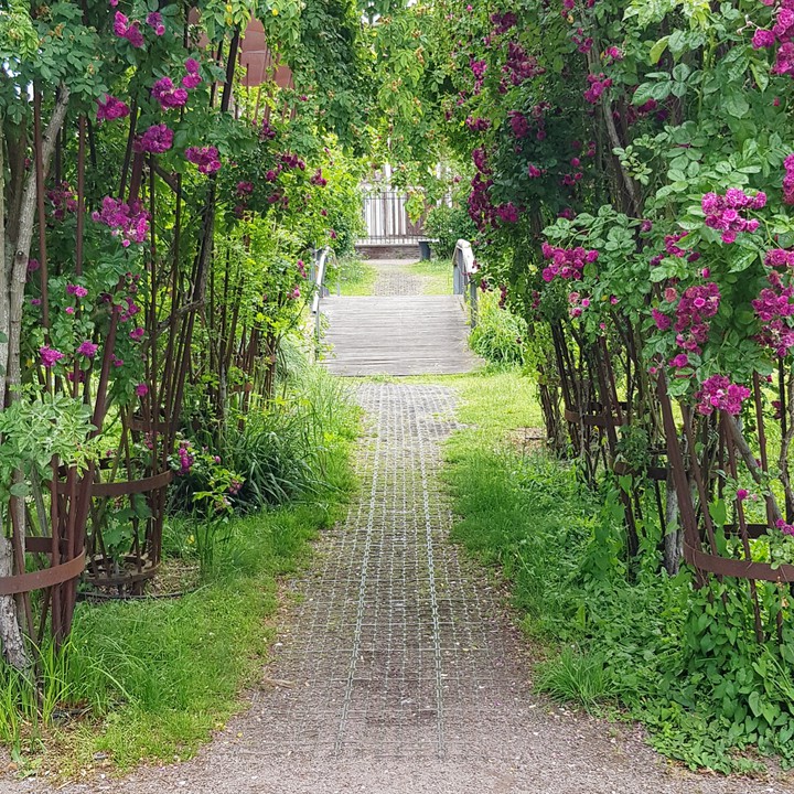 arche de fleurs