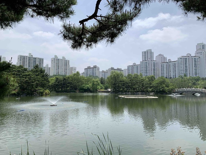 중앙공원
