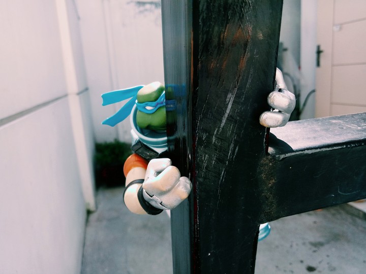 ninja turtle leonardo
