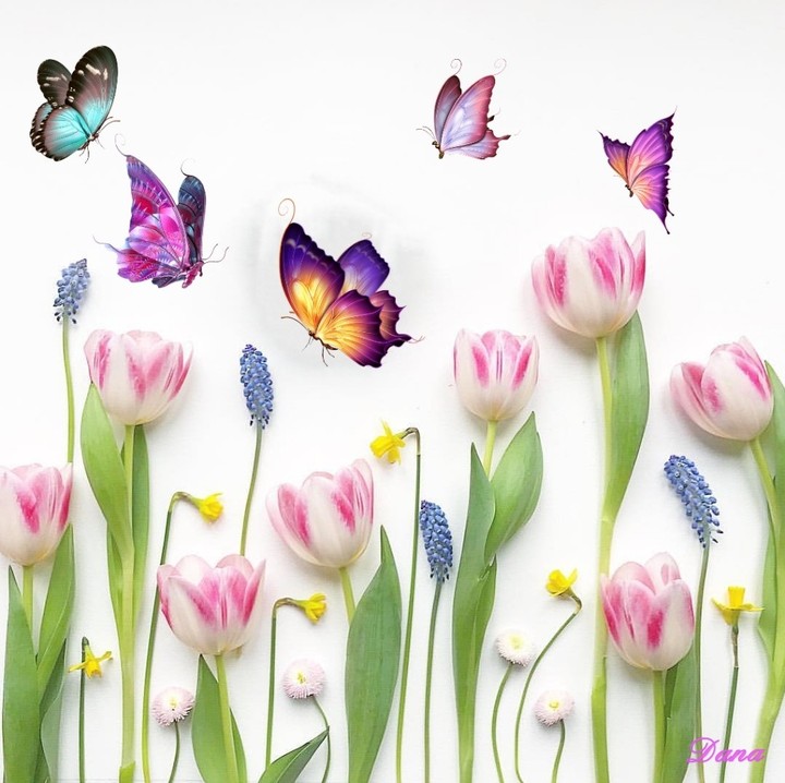 spring
