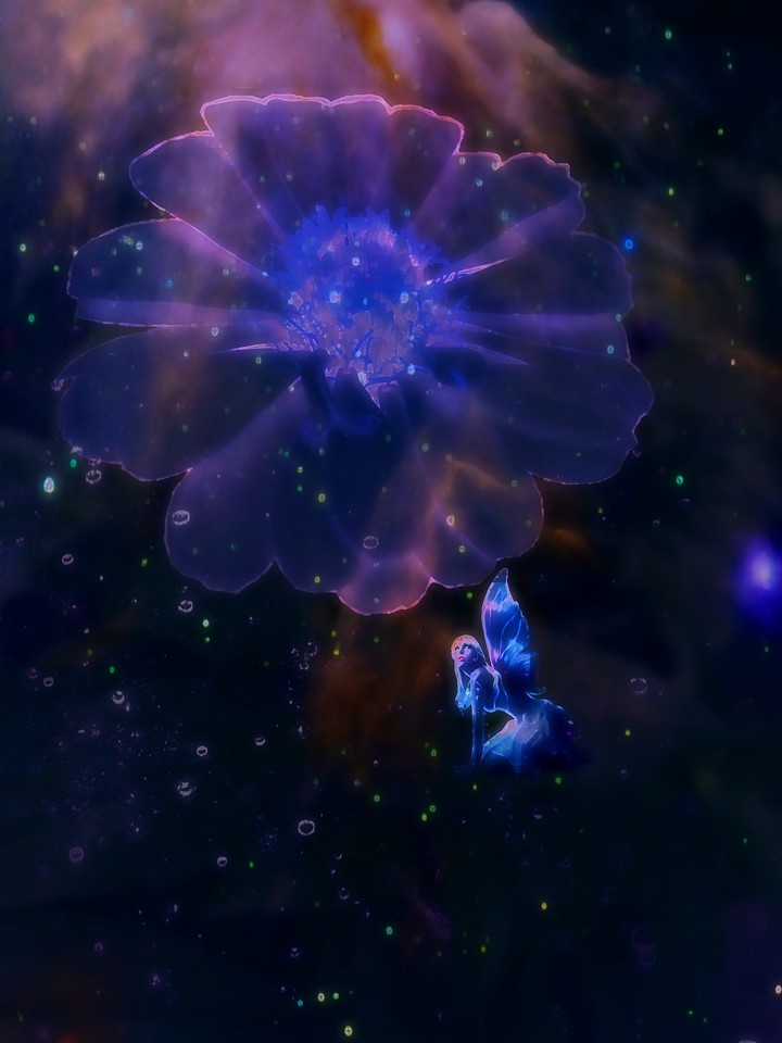 Thoughts in Bloom