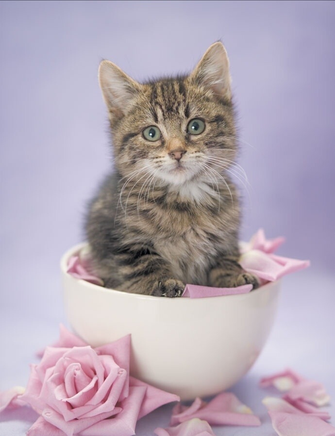 cute ❤️