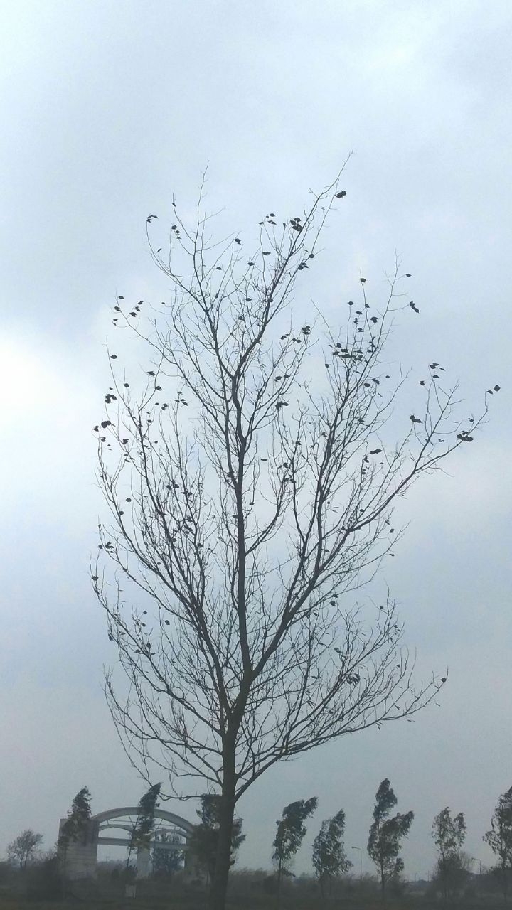 Autumn