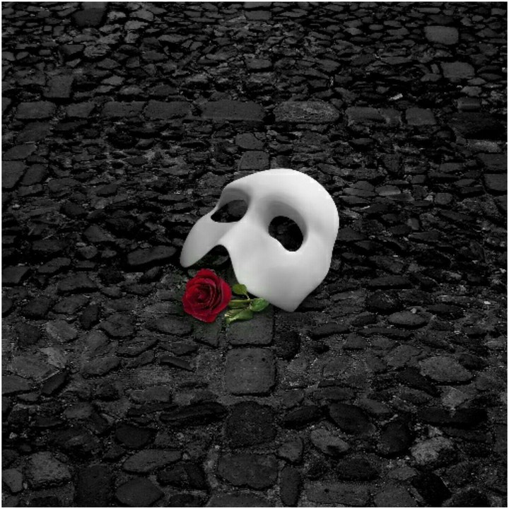 red rose