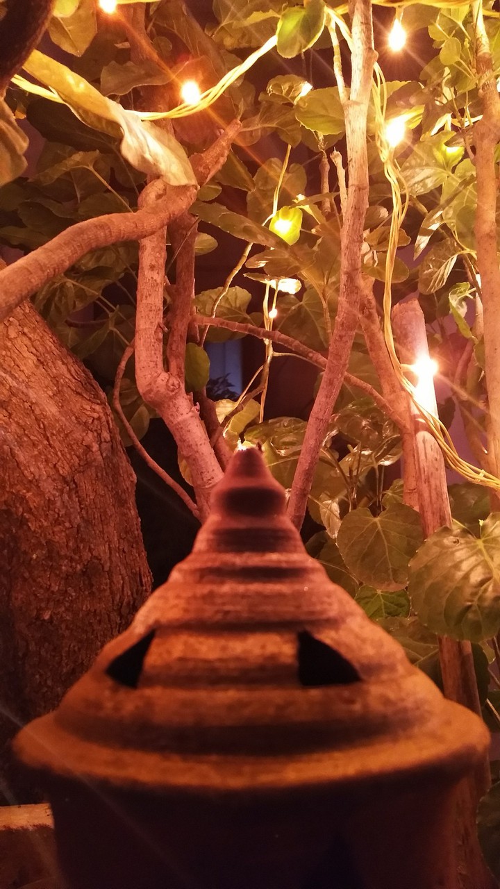 festival lighting