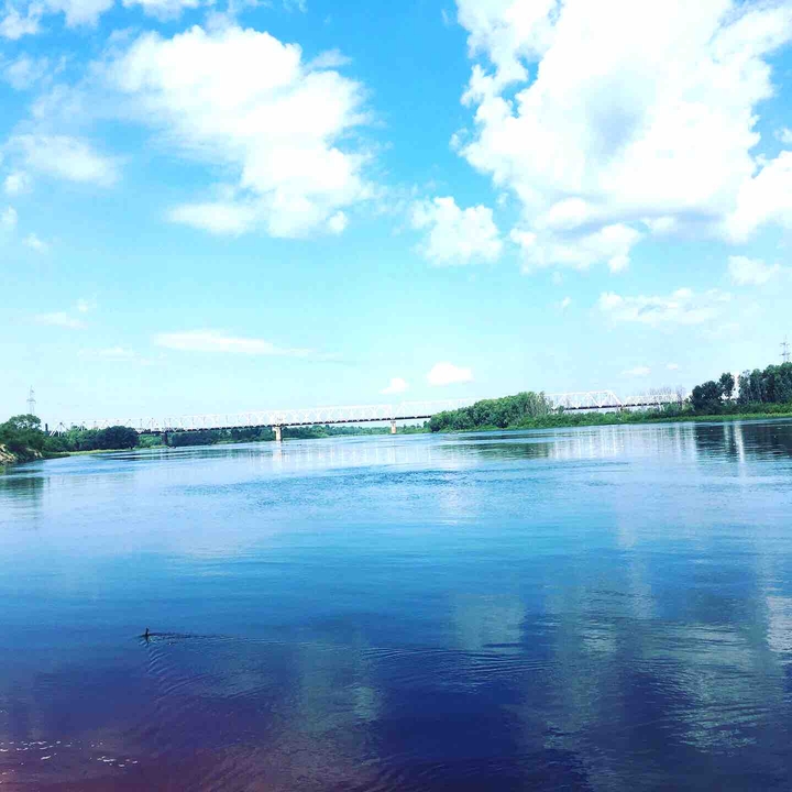 город Мозырь