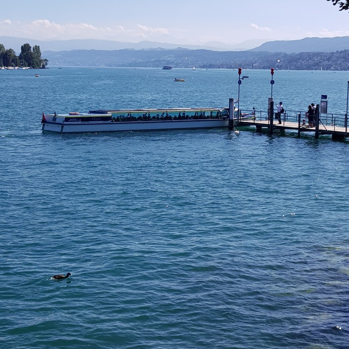 Limmattschiffli