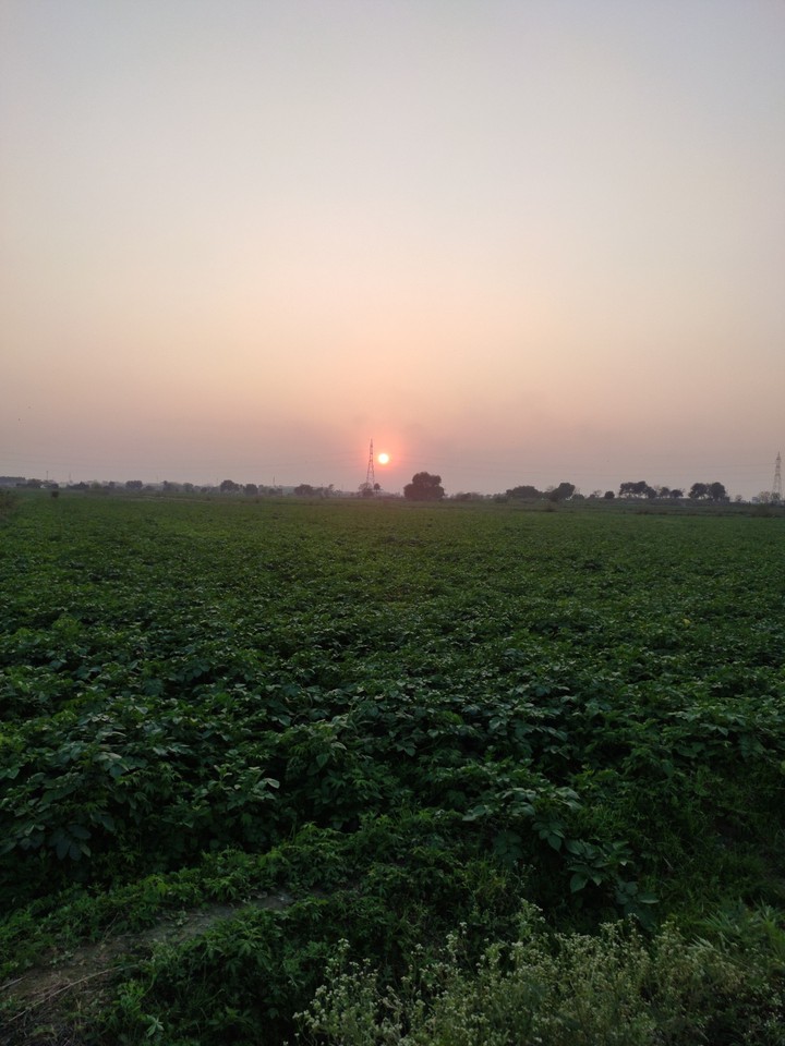 Sunset view
