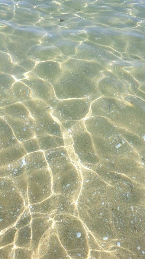 sea